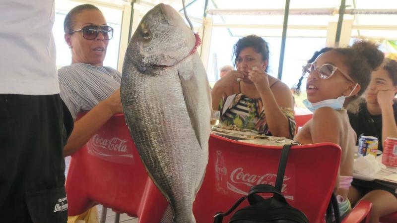 Una dorada de más de tres kilos en el Algarve ©Leequid Magazine