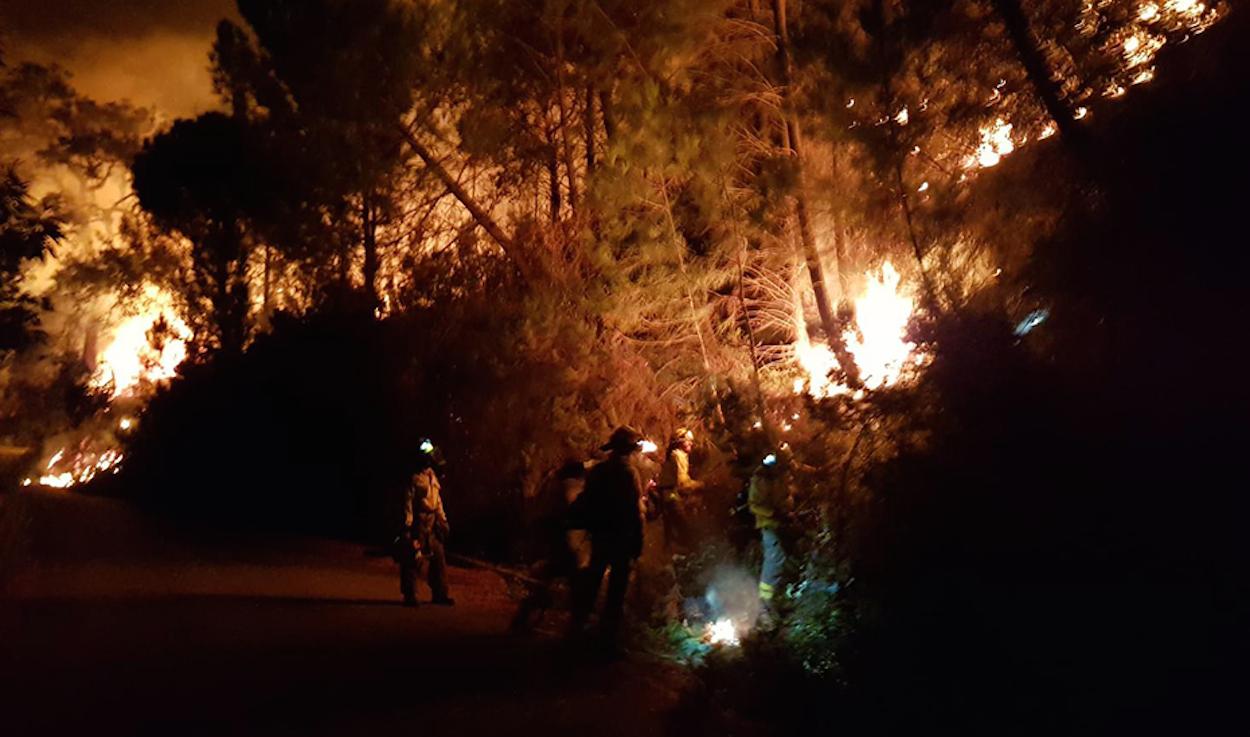 Efectivos trabajando en el incendio forestal declarado en Estepona y Jubrique.
