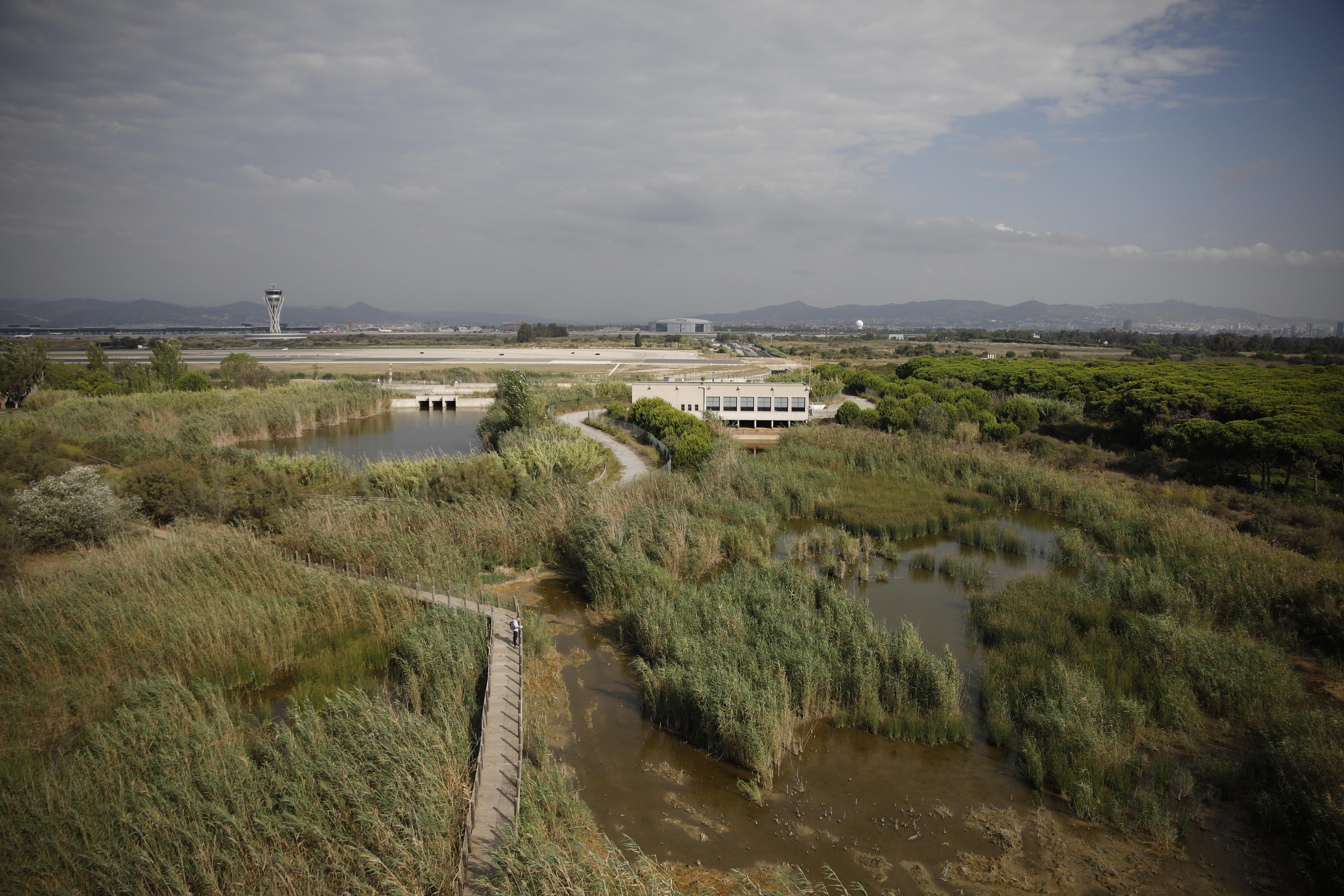 Vista general del espacio protegido de la Ricarda, en El Prat de Llobregat. EP