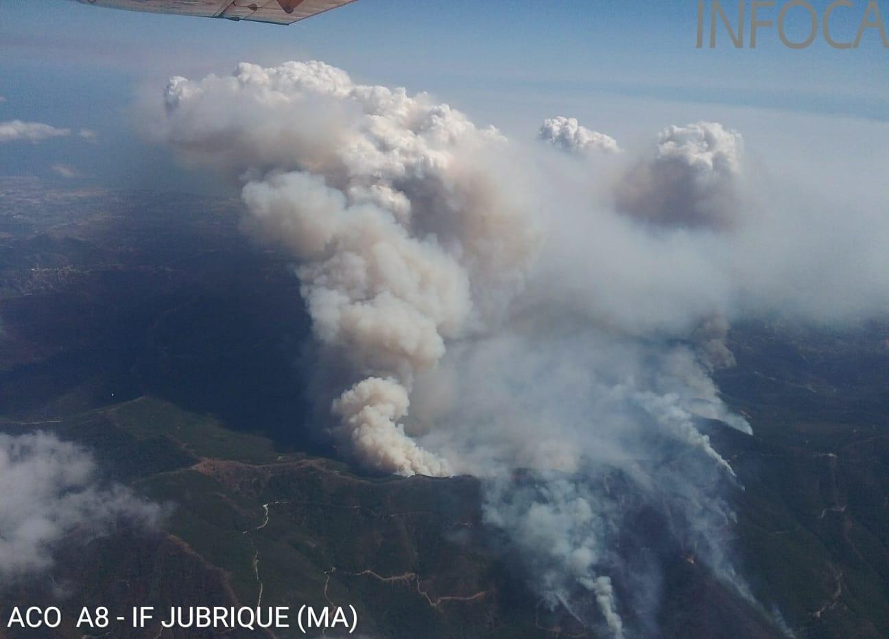 Imagen aérea del fuego de Sierra Bermeja. INFOCA