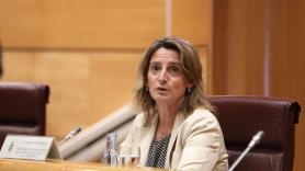 La ministra para la Transición Ecológica y Reto Demográfico, Teresa Ribera. Europa Press