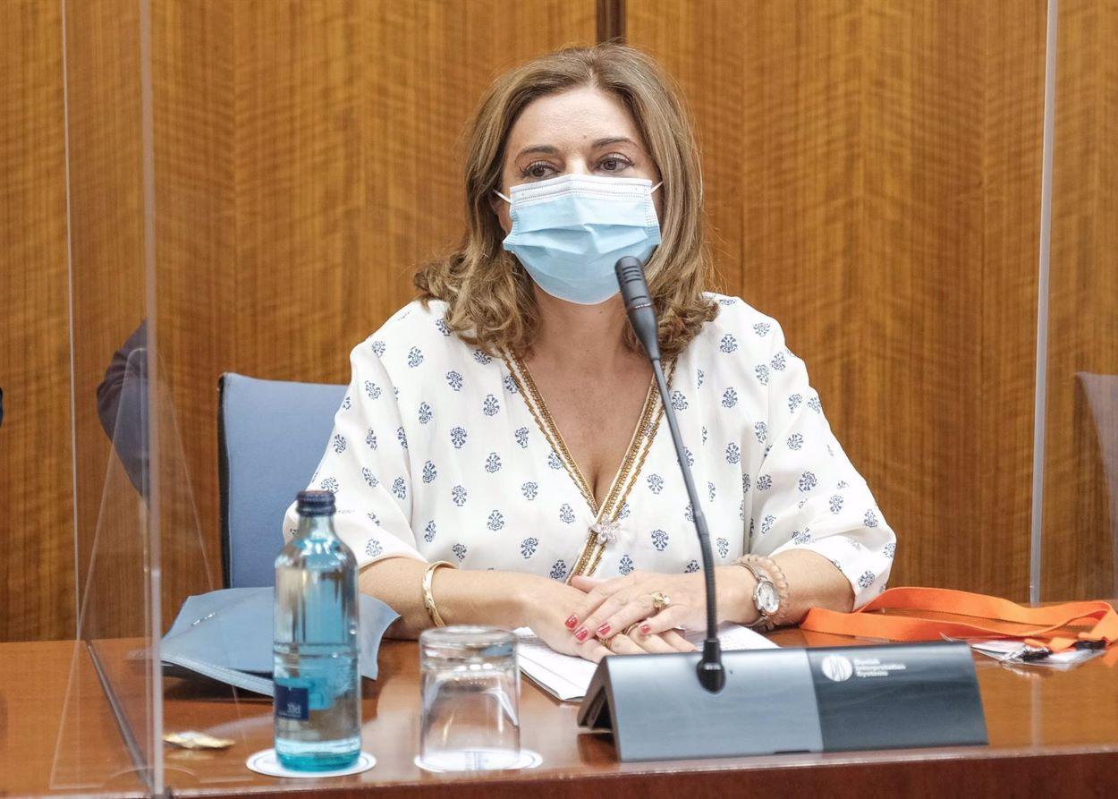 Carmen Ibanca, en su comparecencia antela comisión de investigación de la Faffe. ALFREDO DE ANCA