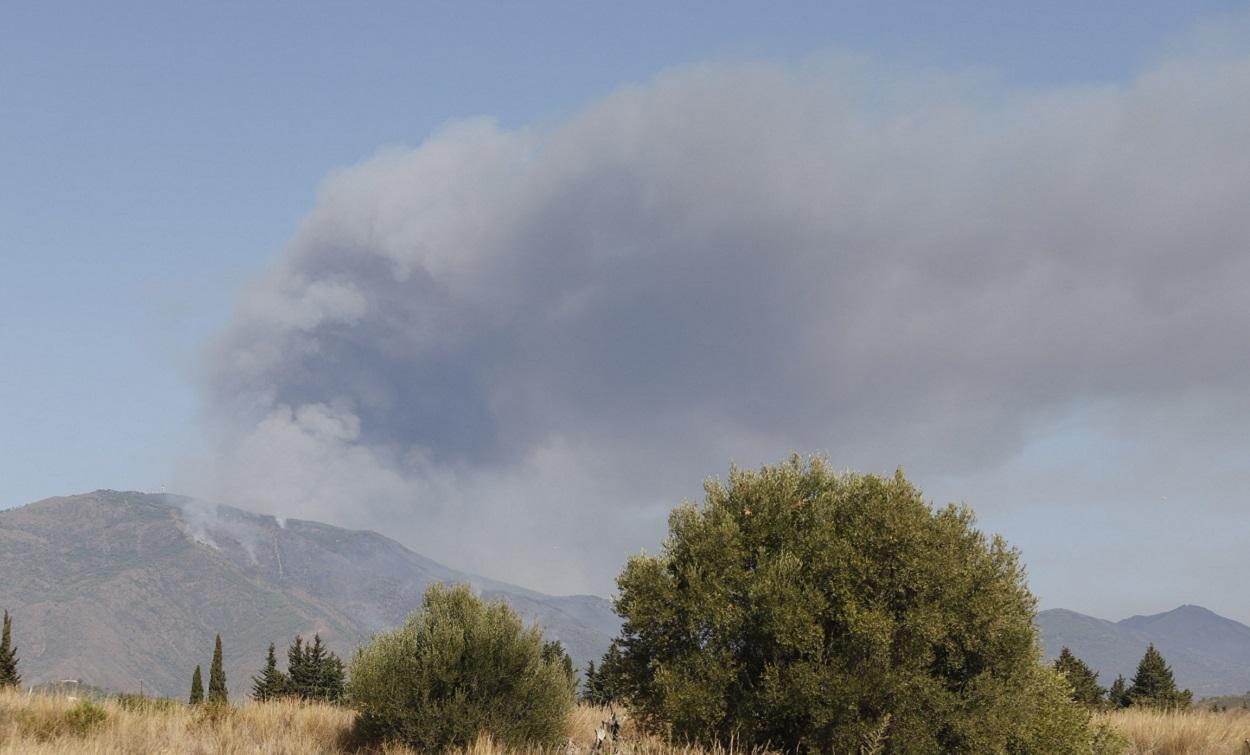 Imagen del incendio en Sierra Bermeja. EP