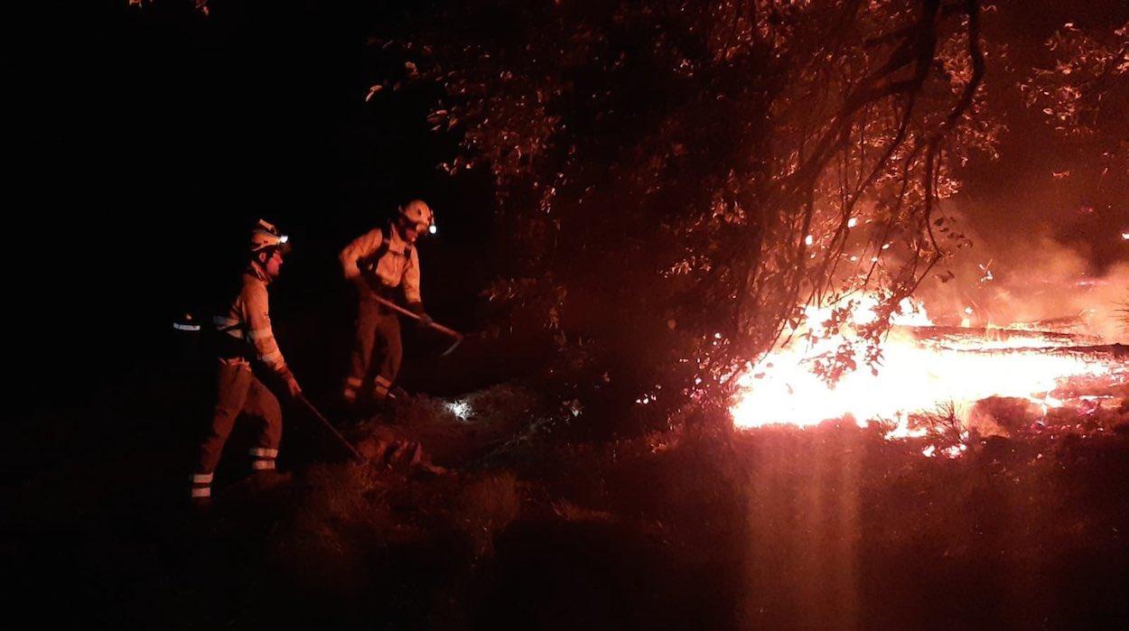 Trabajadores del Infoca luchan contra las llamas.