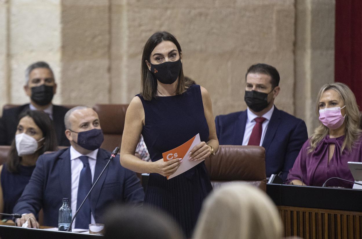 La portavoz de Cs, Teresa Pardo, durante su intervención en la sesión de control. MARÍA JOSÉ LÓPEZ/EP