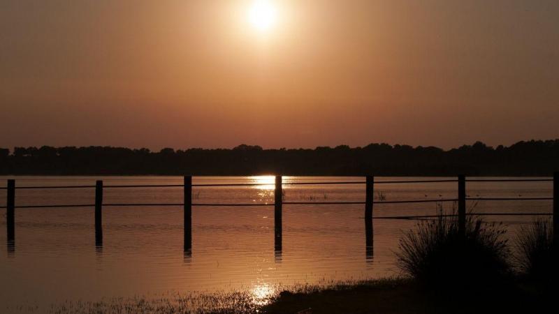 Atardecer en el Parque Nacional y Natural de Doñana (Andalucía)