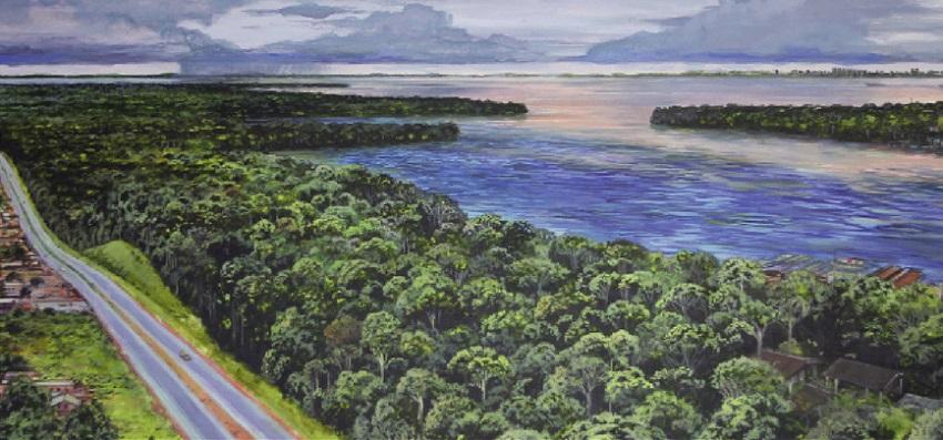 Amazonas en 2020. Fuente revista Global Change Biology Amazonas en 2020. Fuente revista Global Change Biology