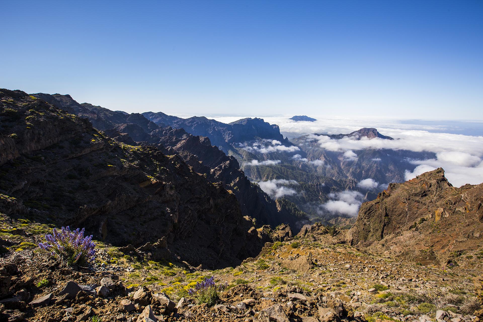 El volcán de La Palma, en datos