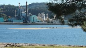 La factoría de ENCE en la ría de Pontevedra, en la imagen, tiene "las horas contadas" según la Asociación pola Defensa da Ría (Foto: Europa Press/Archivo).