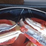 Patatas y tomates con boquerones y cola de merluza fría con mayonesa
