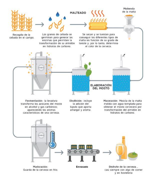 Proceso de elaboración de la cerveza