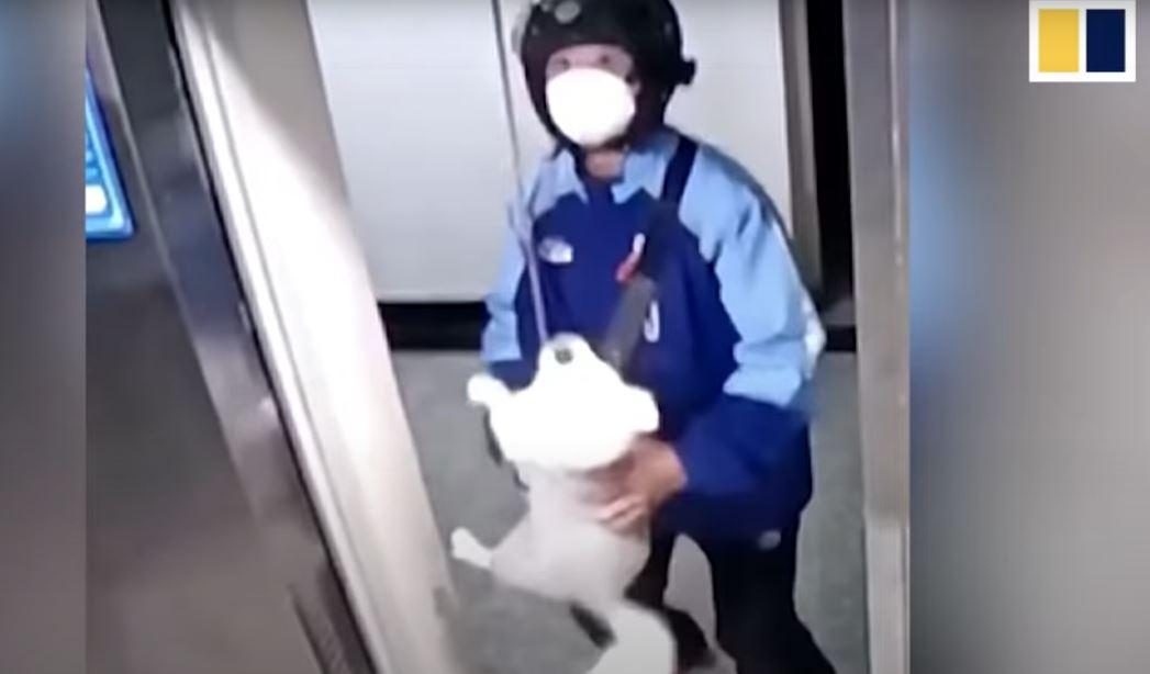 Un repartidor salva a un perro de morir ahogado en un ascensor