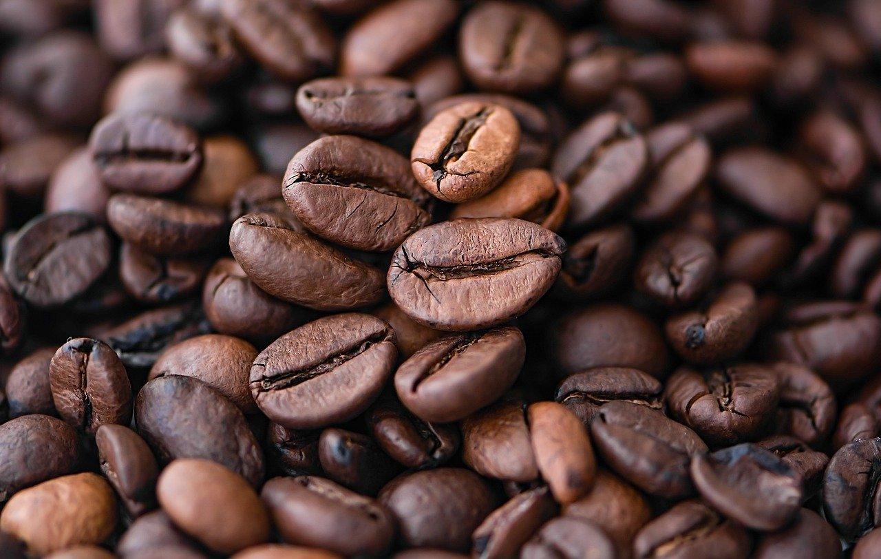 Qué es el café de especialidad y cómo distinguirlo?