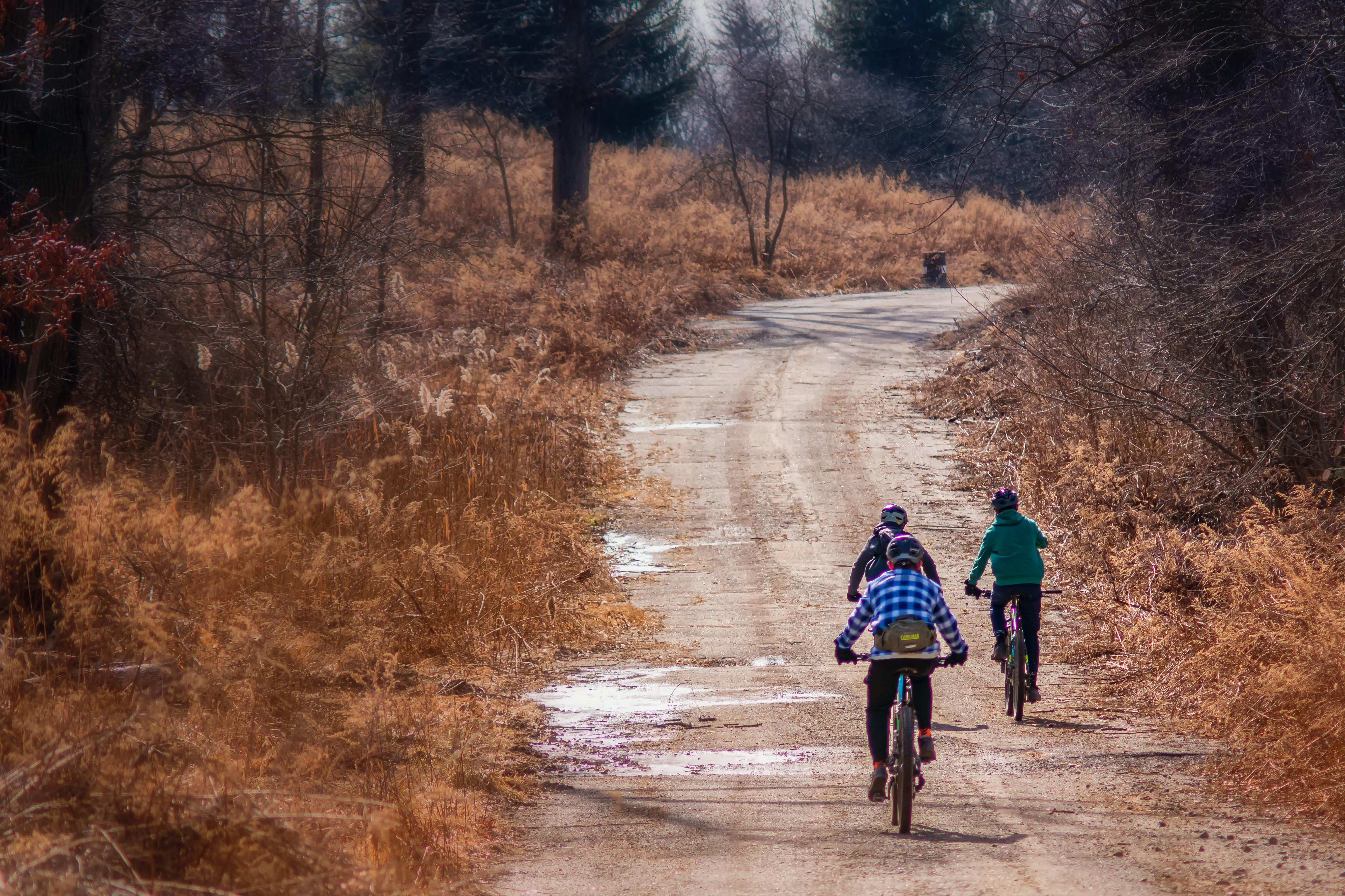Ciclistas