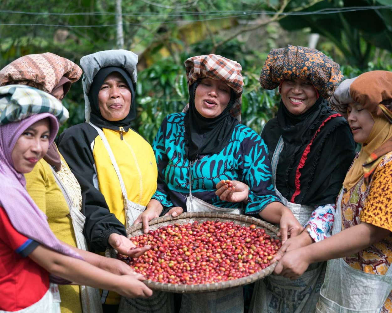 Las producciones de café de especialidad son sostenibles, respetuosas con el medio ambiente y potencian el comercio justo, además de la presencia de la mujer trabajadora en la cadena de producción
