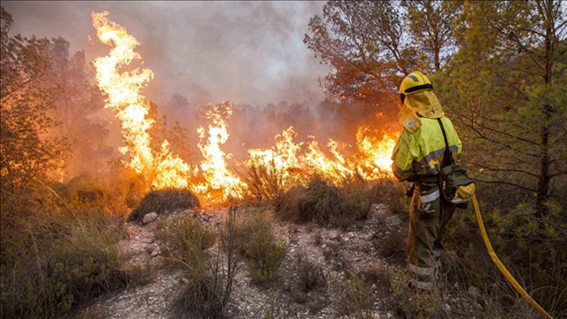  Un operario lucha contra el incendio forestal declarado en Zarcilla de Ramos, pedanía del municipio murciano de Lorca