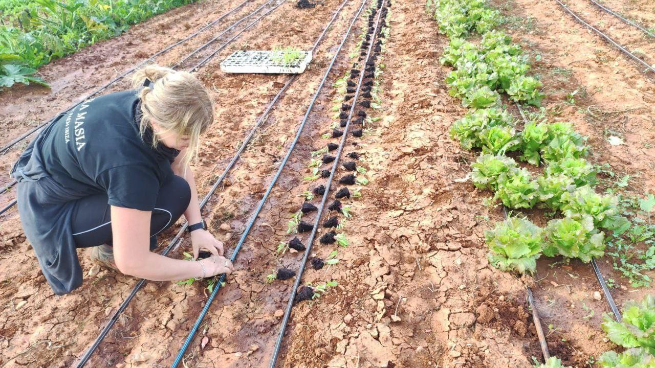 Jóvenes agricultores