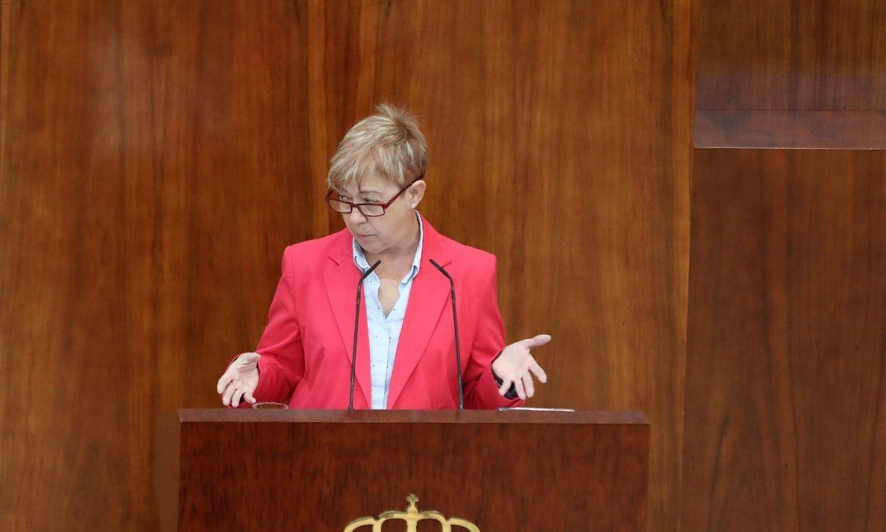 La diputada del PSOE, María Carmen López Ruiz, en el Pleno de la Asamblea de Madrid. EP