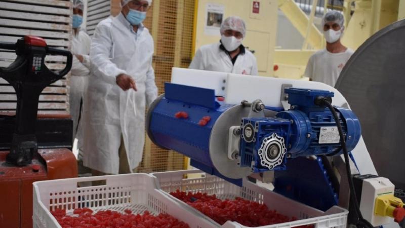 Detalle de la fábrica en la que se producen los Ositos con Alcohol Detalle de la fábrica en la que se producen los Ositos con Alcohol