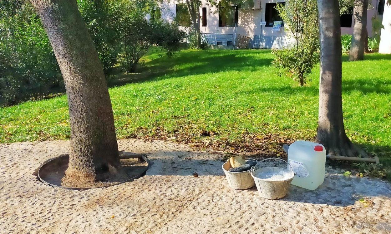 Retiran el hormigón de los árboles del Retiro. Fuente: Asociación Vecinal de Retiro Norte.