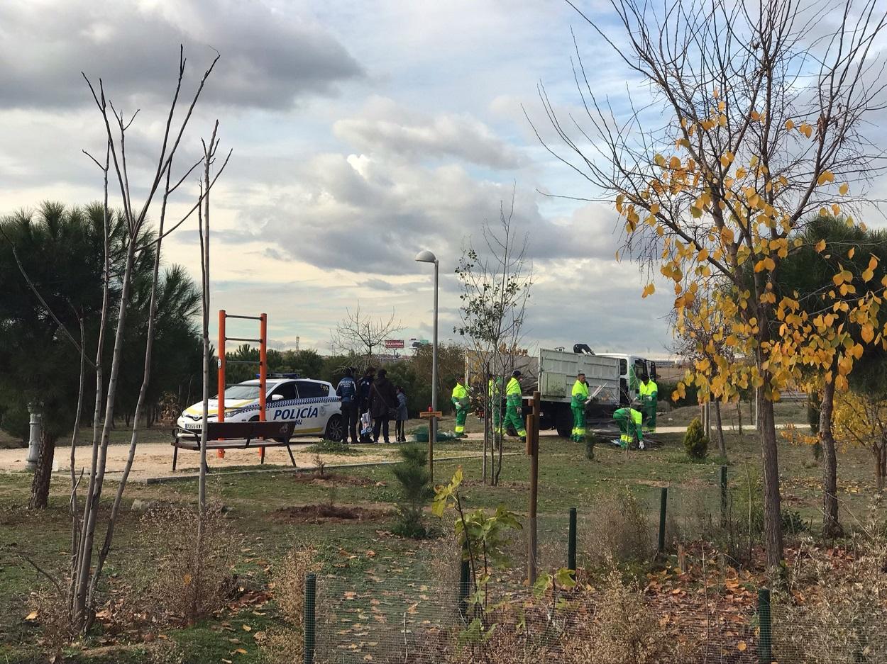 Operarios de Almeida “desmantelan” un Bosque Urbano de Barajas impulsado durante años por sus vecinos. Más Madrid