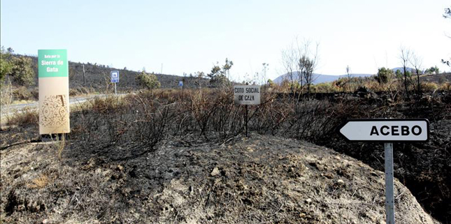 Extremadura se planta ante la Ley de Montes: "Nadie va a hacer negocios con los incendios"