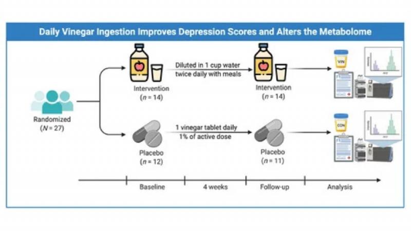 Estudio sobre los efectos del vinagre de manzana en la salud mental. Revista Nutrients