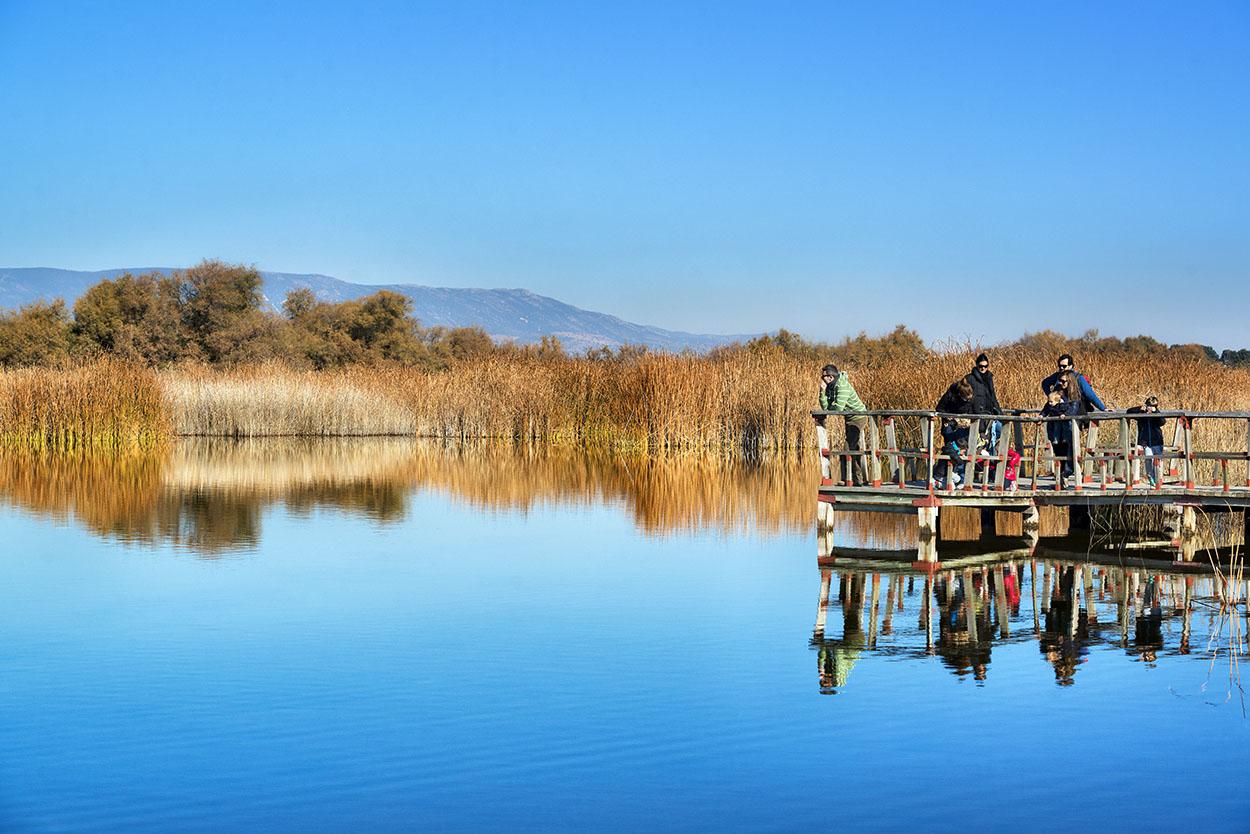 Las Tablas de Daimiel son un regalo de la naturaleza en cualquier época del año