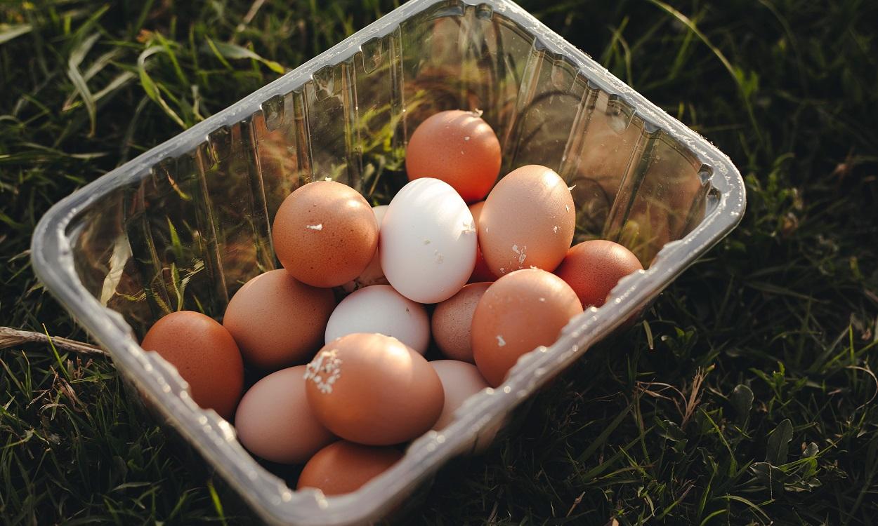 Una caja de huevos sucios. Pexels