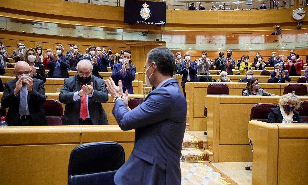 El presidente del Gobierno, Pedro Sánchez, en el pleno del Senado. EP