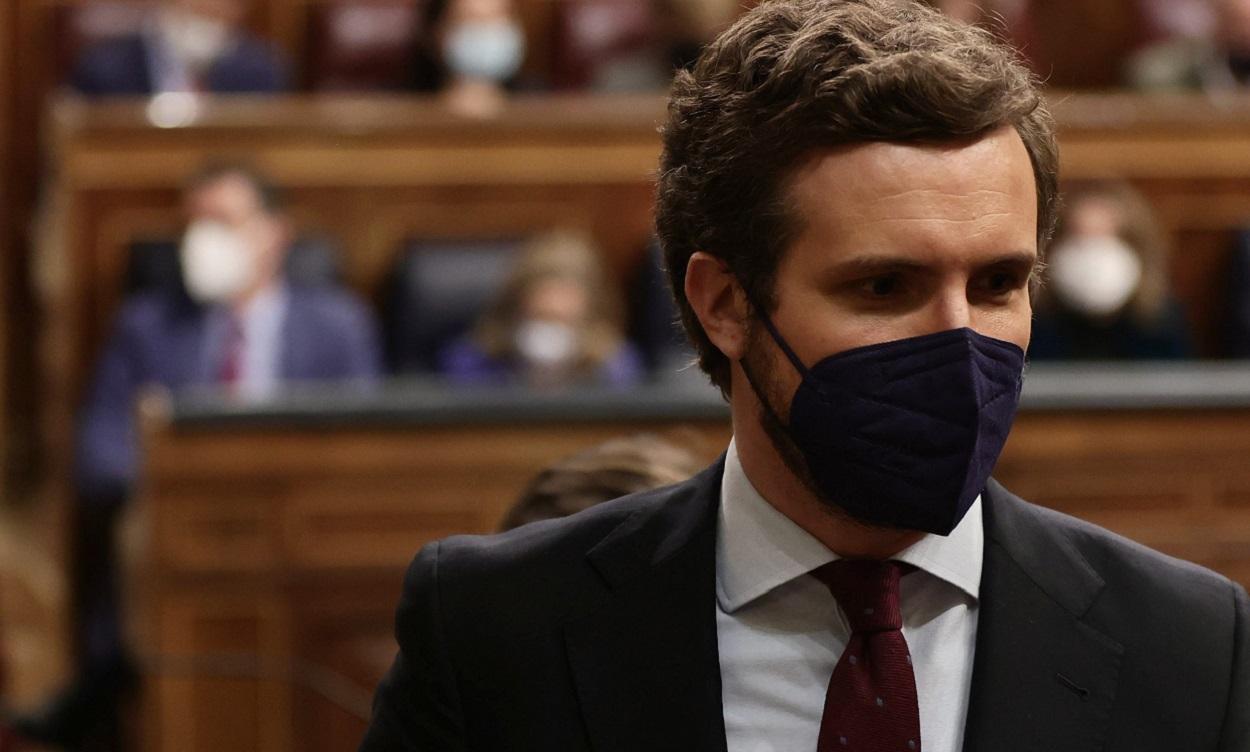 El líder del PP, Pablo Casado, en el Congreso. EP