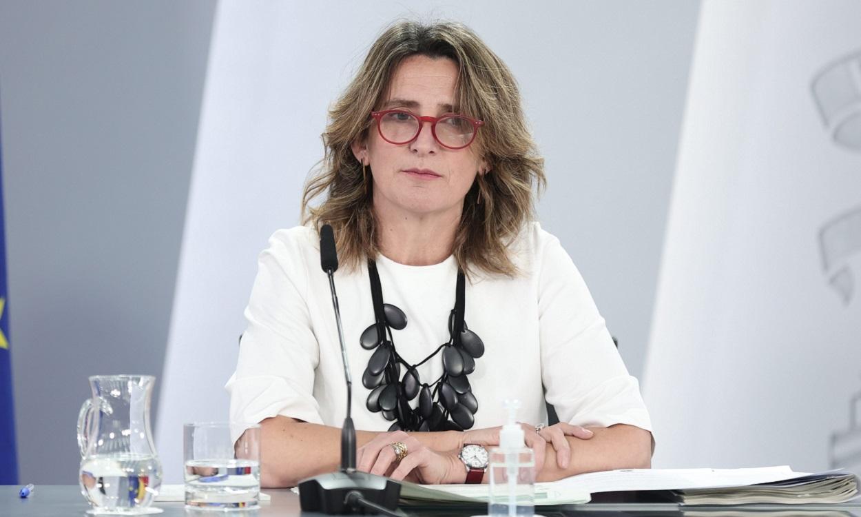 Teresa Ribera, ministra para la Transición Ecológica y Reto Demográfico. EP