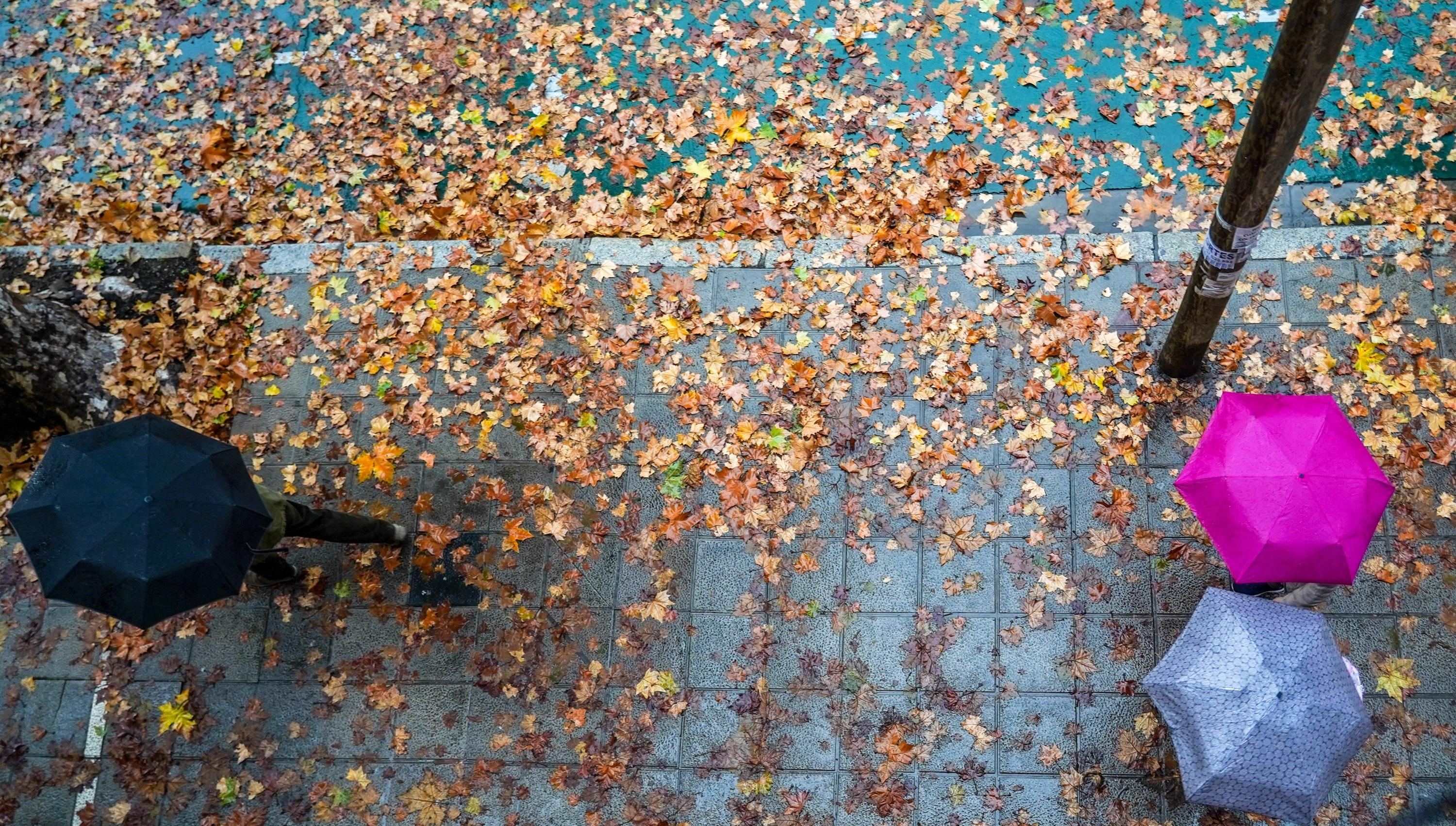 Riesgo amarillo de lluvias, vientos y fenómenos costeros dejan a ocho provincias en alerta