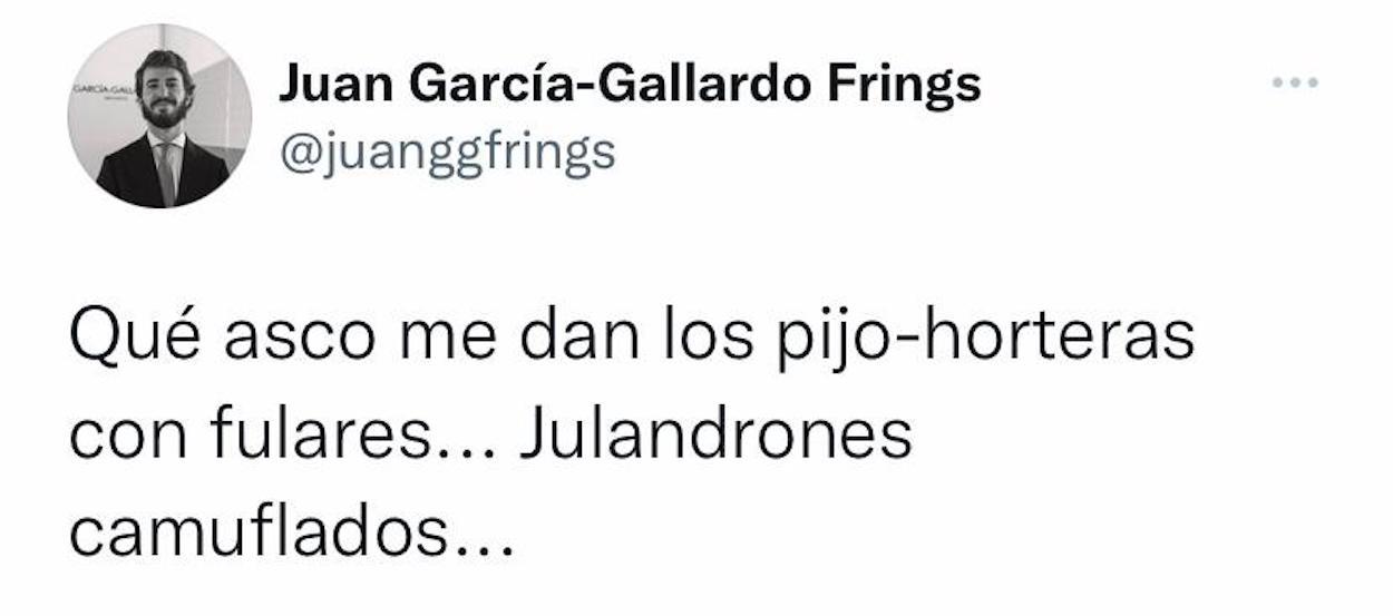 El líder de Vox en Castilla y León, contra los %22julandrones camuflados%22. Twitter