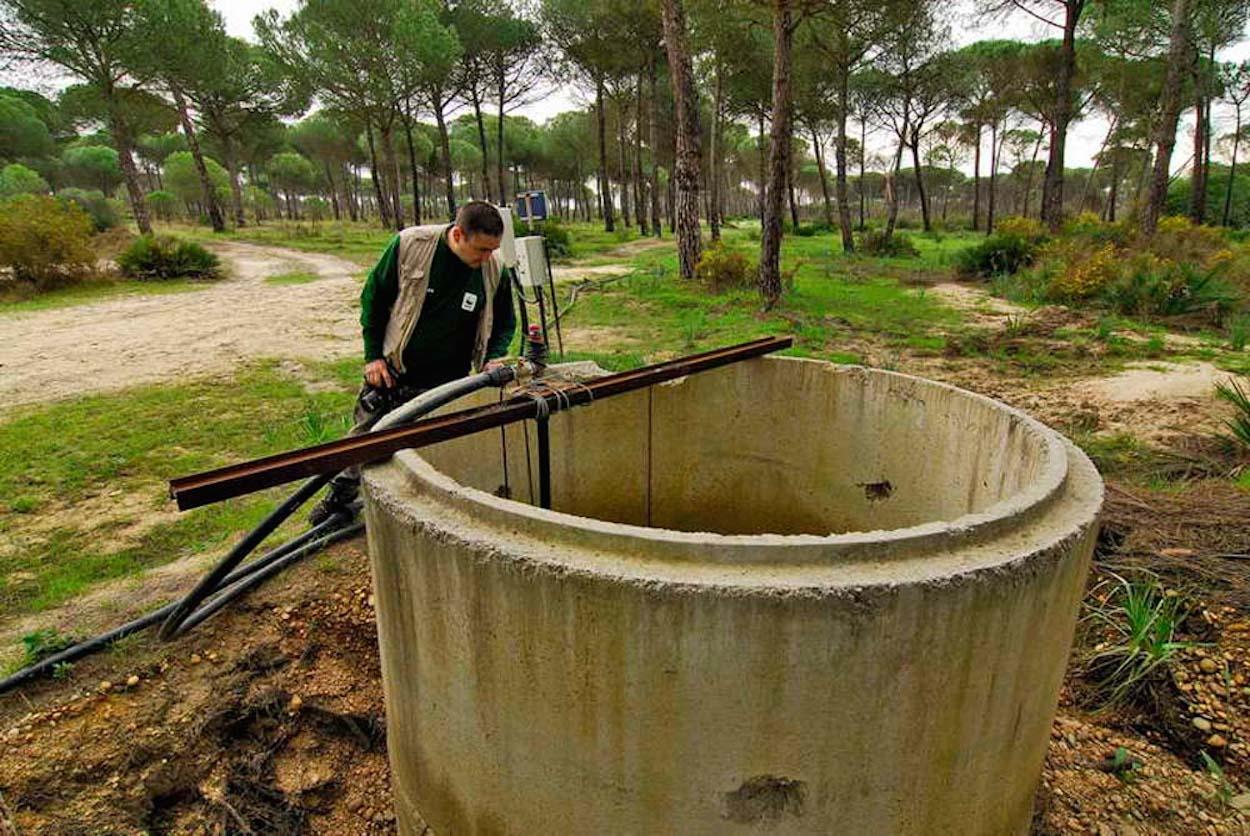 Pozo ilegal de Doñana. JORGE SIERRA/WWF