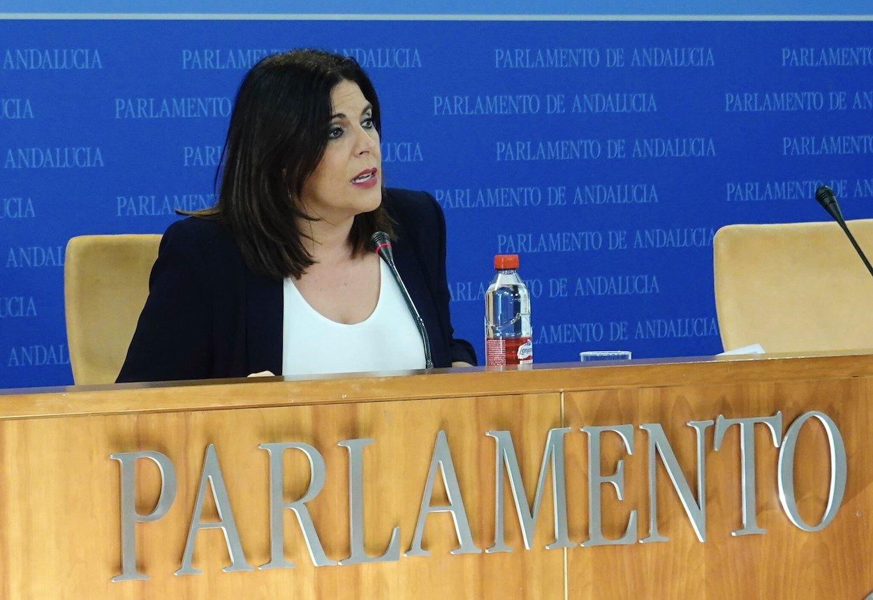 Ángeles Férriz, en rueda de prensa en el Parlamento.