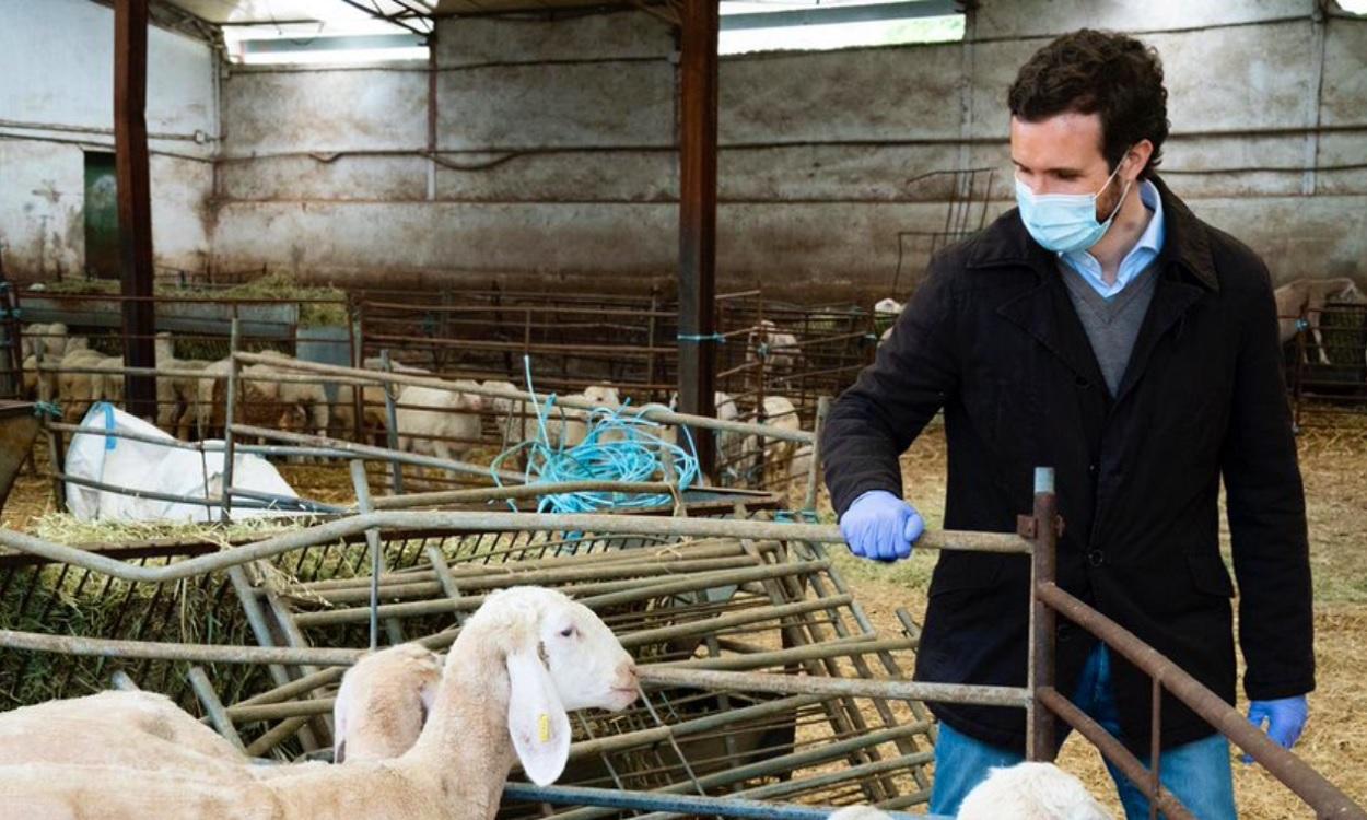 Foto de archivo de Pablo Casado en una granja.