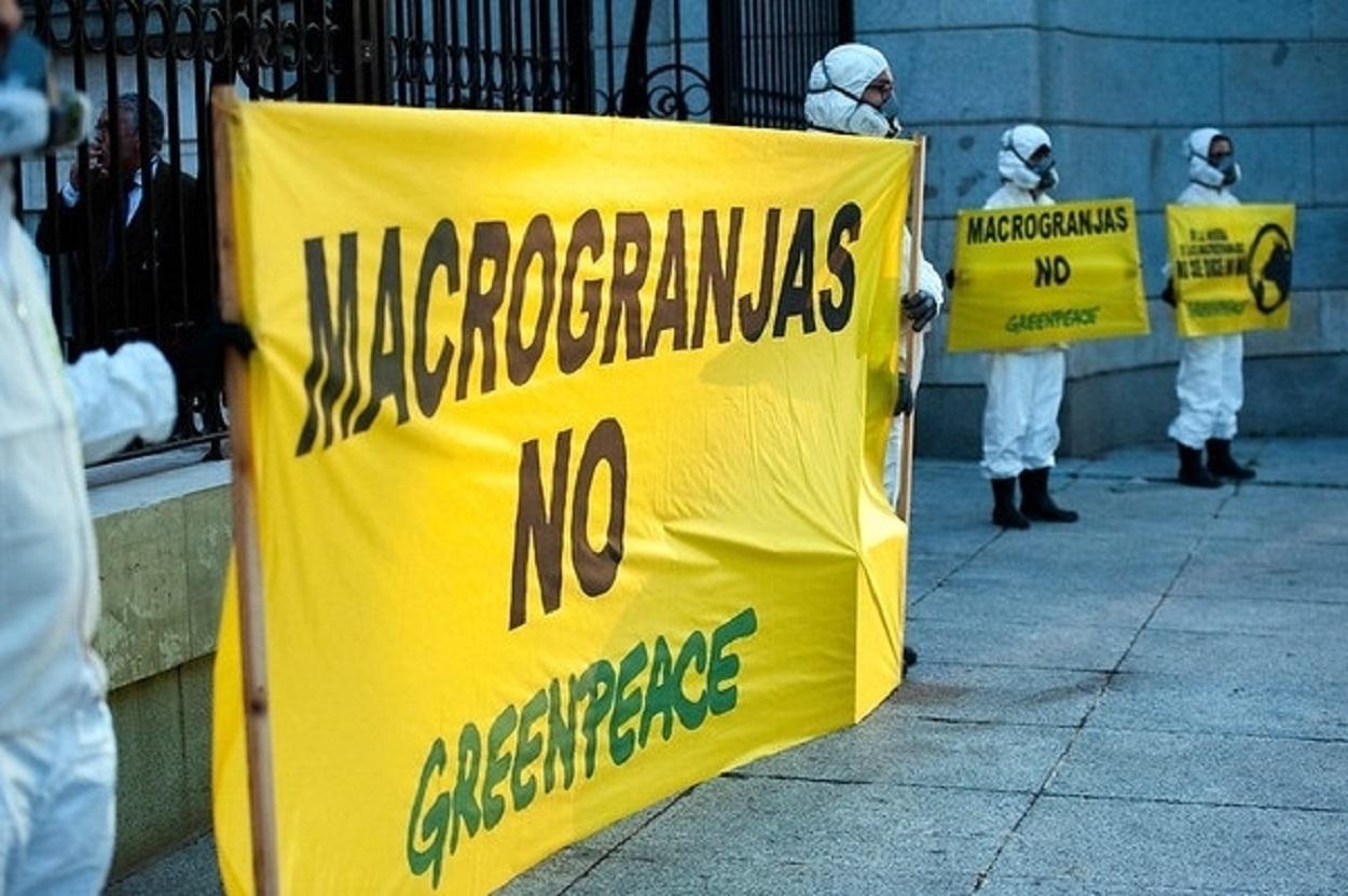 Greenpeace se manifiesta contra las macrogranjas. Europa Press
