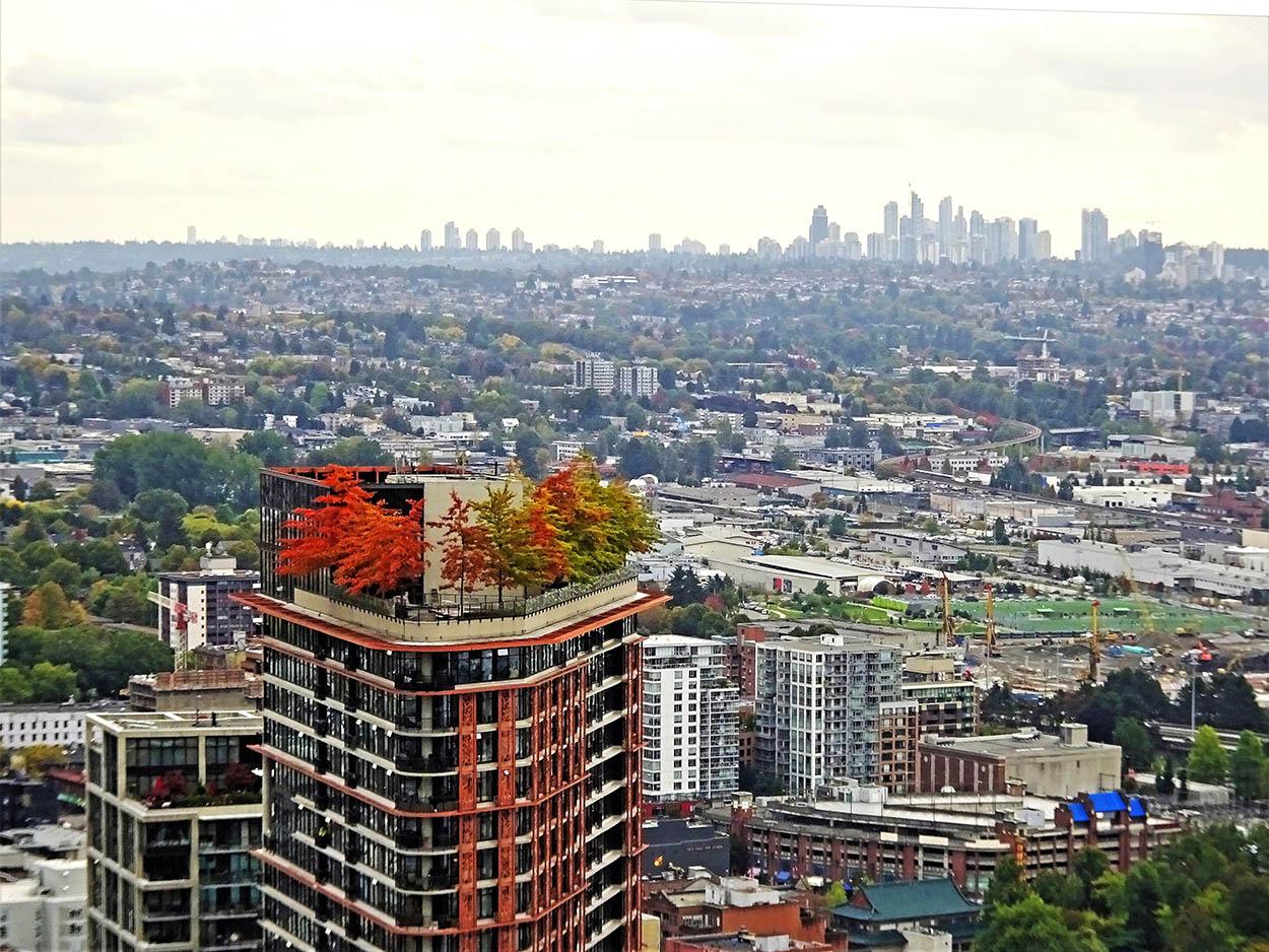 Vancouver es una ciudad en la que conviven de forma armónica enormes rascacielos y viviendas unifamiliares