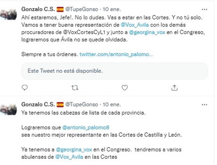 Tuit sobre Vox Tuit sobre Vox