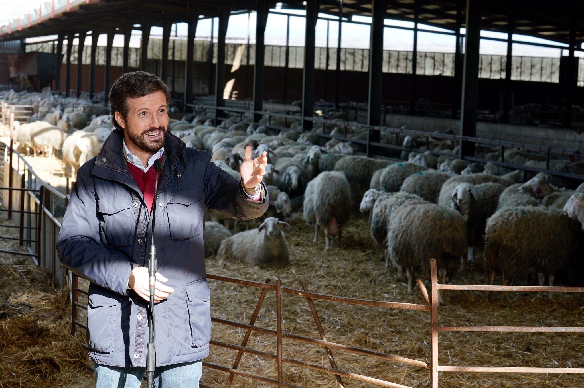 El líder del PP, Pablo Casado, visita una quesería en Matadeón de los Oteros (León).