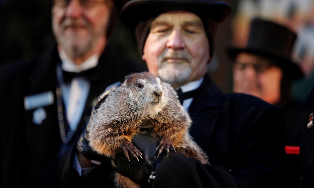 La marmota Phil pronostica cuánto durará el invierno