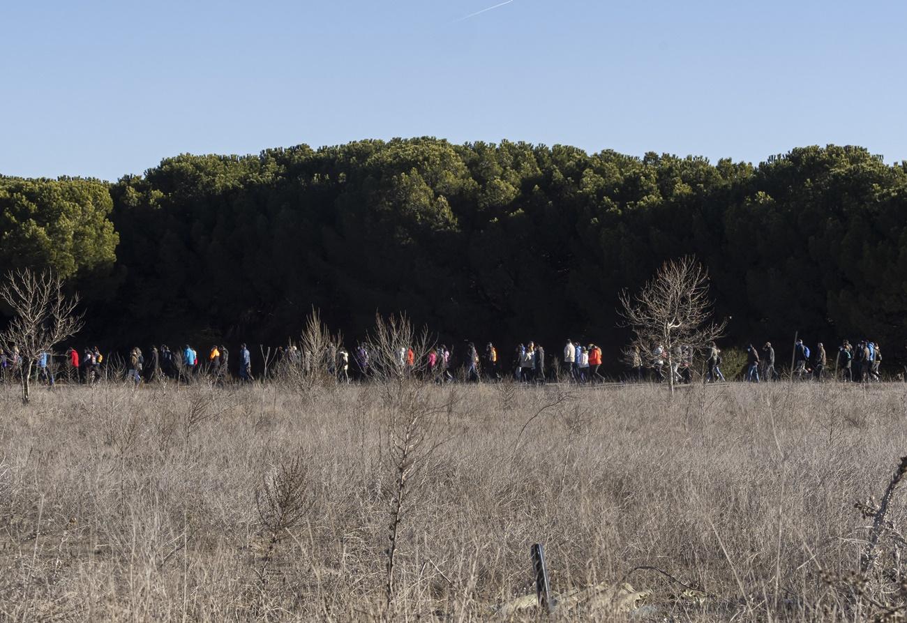 Batidas vecinales organizadas por la Guardia Civil buscan a Esther López, desaparecida el 12 de enero