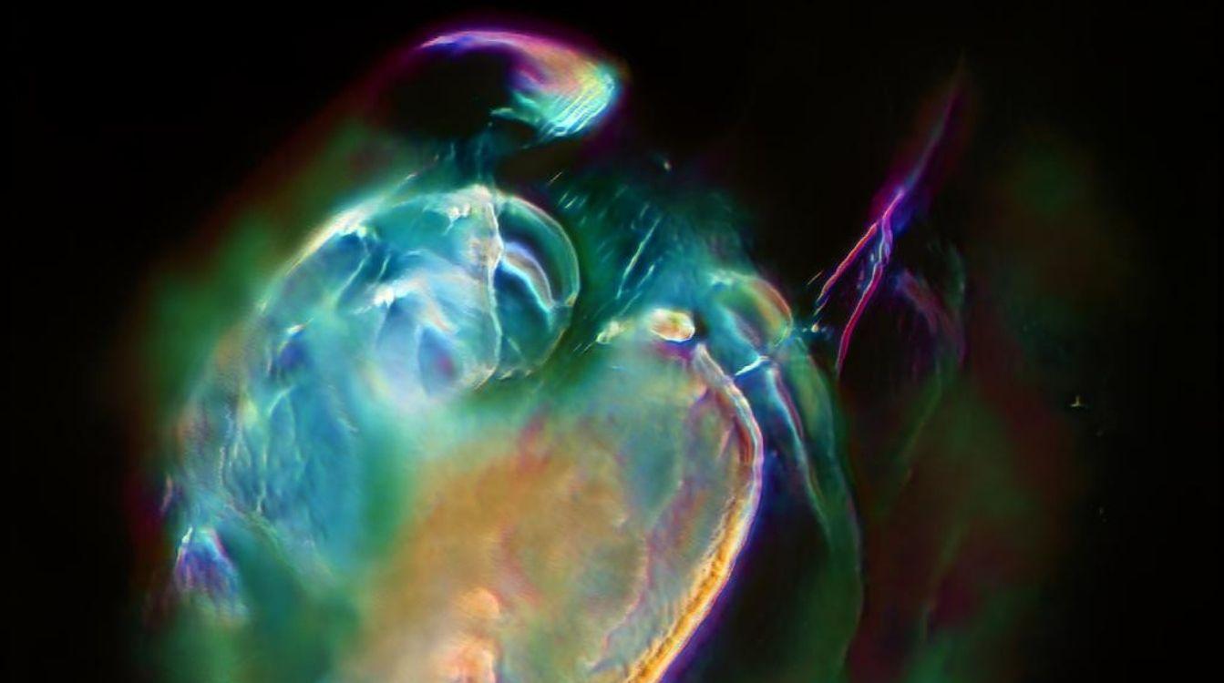 CosmoCaixa acogerá el próximo viernes 18 de febrero una nueva edición de la Noche Neo, en la que se explorará la relación entre ciencia y arte en torno a las fuerzas de la Tierra en la geosfera y la biosfera