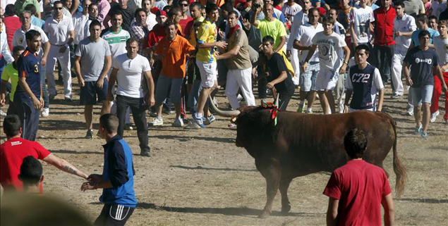 "Se necesitan 10 premios Nobel para reparar el daño que hace El Toro de la Vega a la marca España"