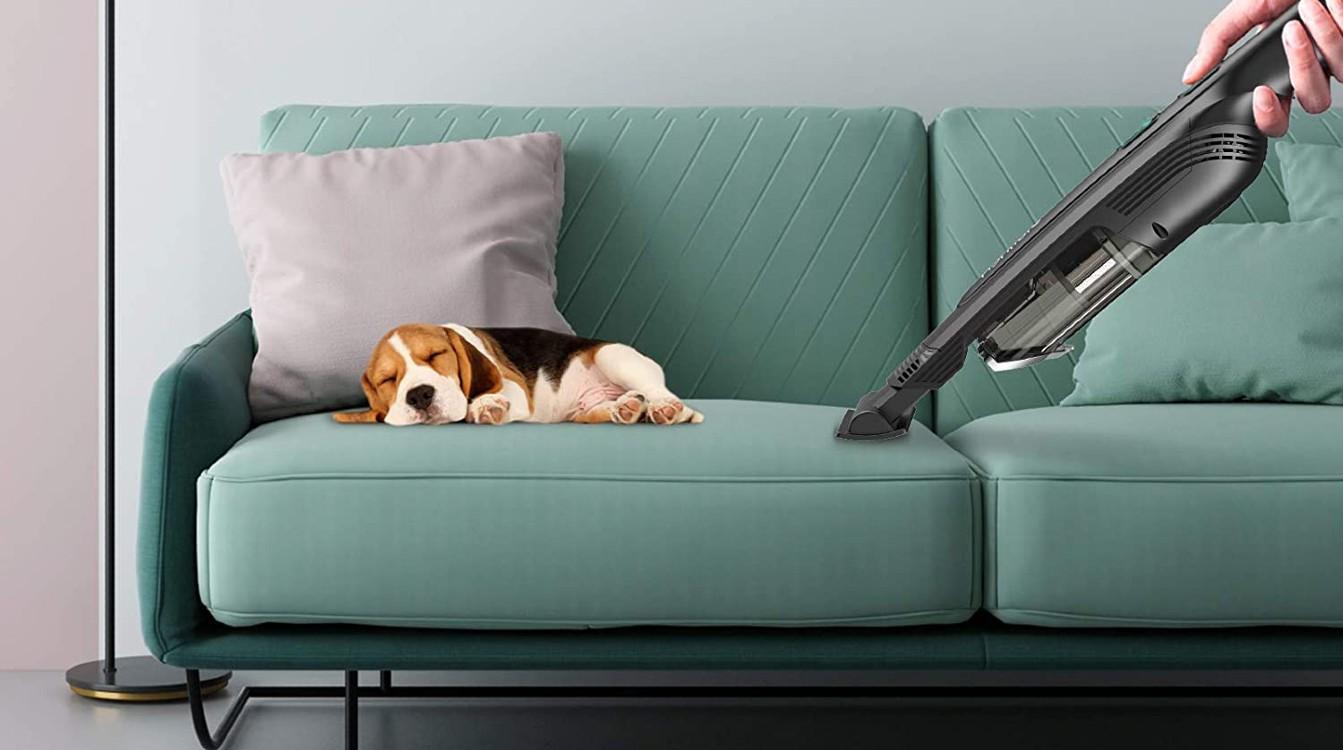 BLACK+DECKER® España  Aspirador de mano 18V para mascotas