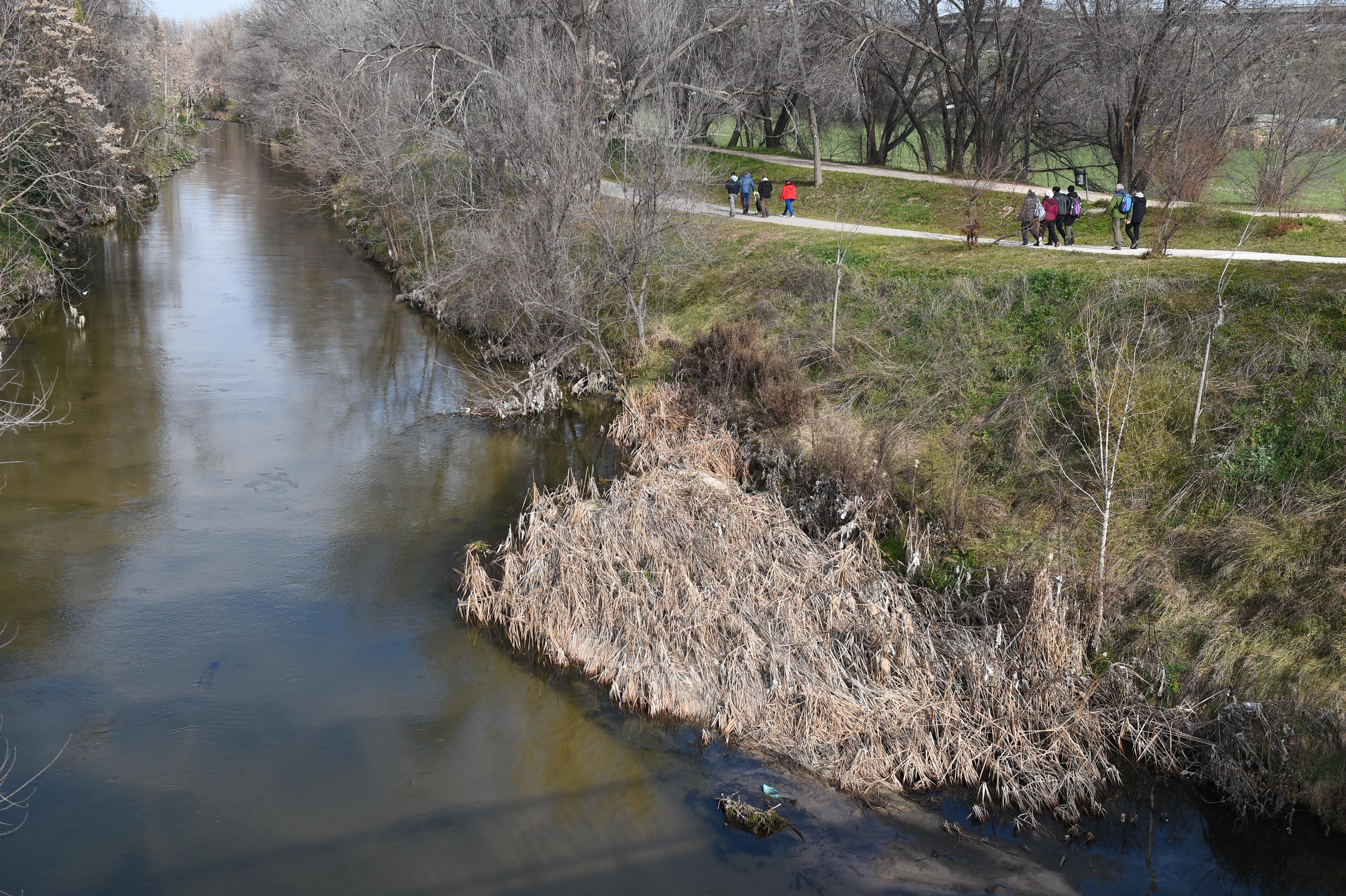 Varias personas caminan durante la marcha 'Por un río para una ciudad y sus barrios', junto al Río Manzanares.