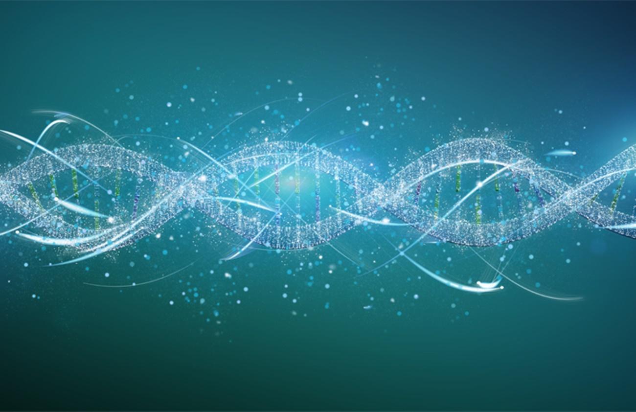 En la actualidad, el diagnóstico de las enfermedades raras de causa genética se lleva a cabo mediante la secuenciación del genoma del paciente en busca de mutaciones o variantes del ADN.