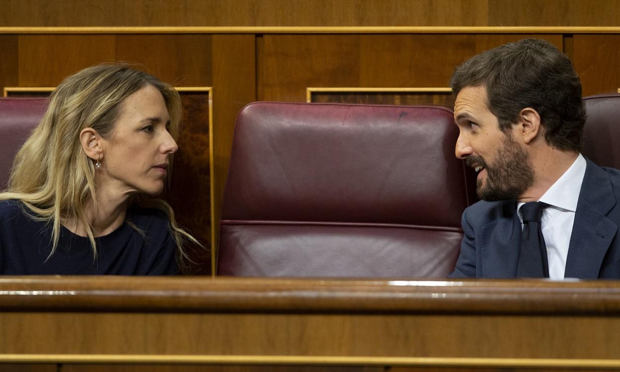 El presidente del Partido Popular, Pablo Casado, y la exportavoz, Cayetana Álvarez de Toledo. EP