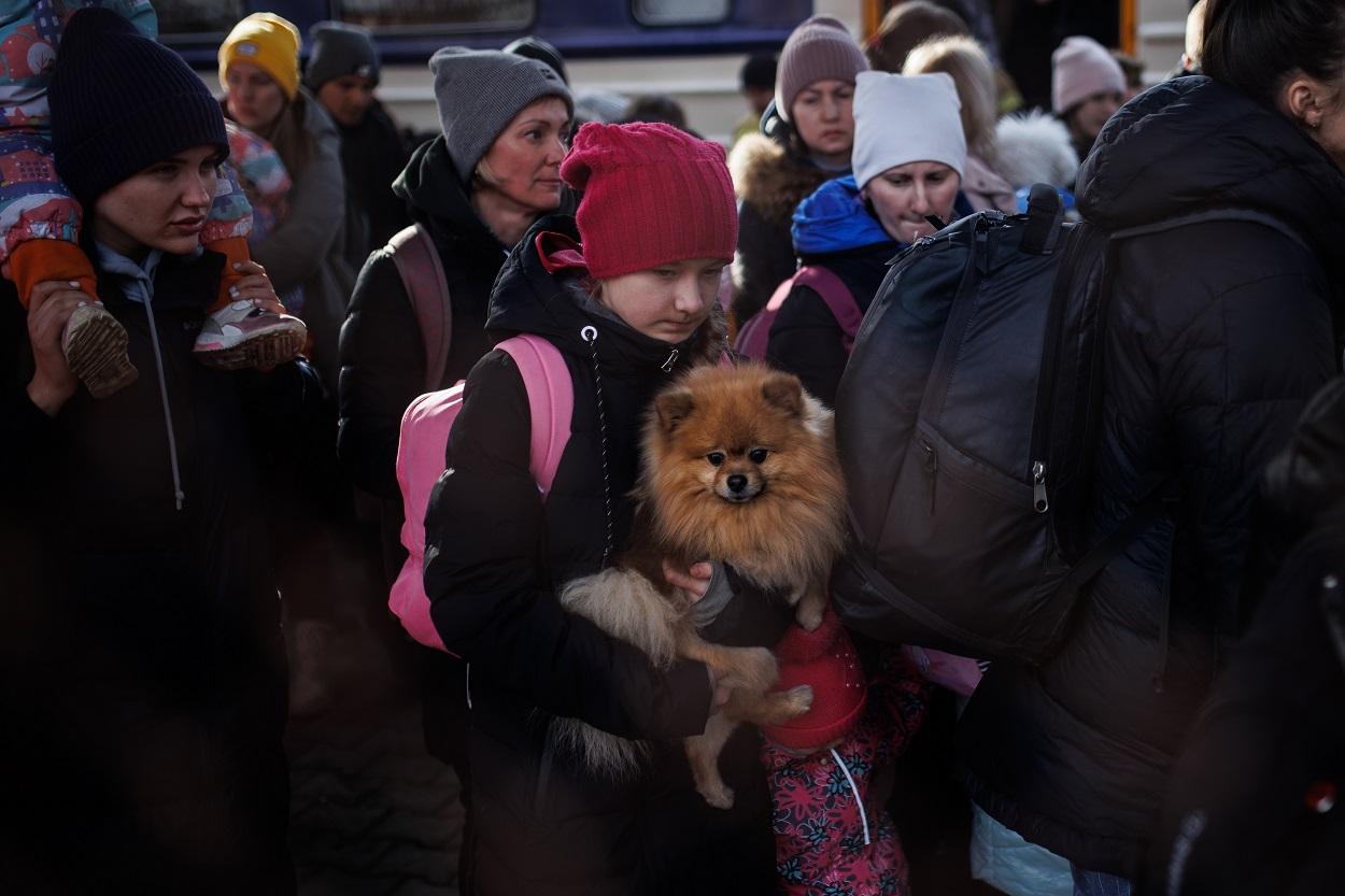 Más de 3.000 personas se registran para acoger a niños de Ucrania
